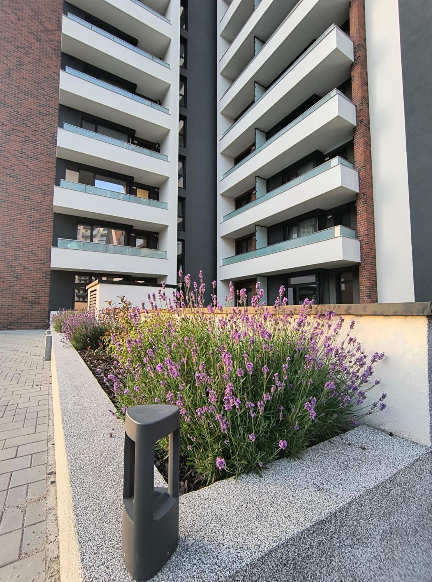Apartment Park Lake クルージュ＝ナポカ エクステリア 写真